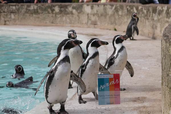 Best in Awards 2016 No Photoshop